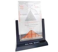 Galton Board, Effective Statistical Law Experiment Tool Dalton Board, Desk Probability Demonstration Model, Inspire Curiosity, For Educators Students