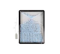 Galton Board Mathematical Model Physics Lab Teaching Tool for Physical School Laboratory Demonstration