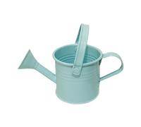 Galvanised Metal Watering Can with Long Spout - Leak-Proof Indoor/Outdoor Plant Waterer - Rust-Resistant Mini Watering Can for Houseplants, Balcony Gardens & Flower Beds Compact Design
