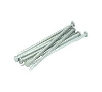 Galvanised Round Wire Nails - 150mm Length (Pack of 7)