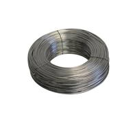 Galvanised Tension Wire - 2.5mm Thick Steel - 100m Roll - Heavy-Duty Fencing Wire for Garden, Farm & Security Fencing - Rust-Resistant