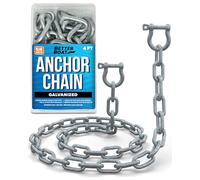 Galvanized Anchor Chain, Marine Grade, 1/4" Chain with 2 Anchor Shackles, Link Ends, 4 Ft, for Boats