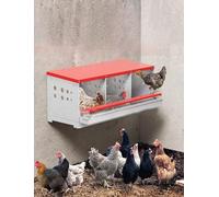 Galvanized Egg Trough, Hangable or Flat Lay Design, Three Compartments for Poultry Farming Organization, Quick Assembly
