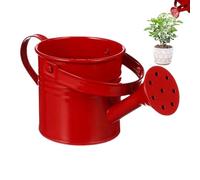 Galvanized Iron Watering Can - Plant Pot Standard, Decorative Flower Container with Handle, Rustic Outdoor Accent | Lawn Backyard Porch Gardening Accessory for Family Friends Display
