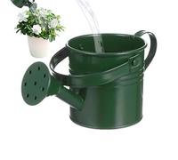 Galvanized Iron Watering Can - Plant Pot Standard, Decorative Flower Container with Handle, Rustic Outdoor Accent | Lawn Backyard Porch Gardening Accessory for Family Friends Display