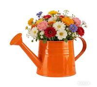 Galvanized Shower Bucket Tinplate Watering Kettle Small Flower Pot, Galvanised Metal Watering Can with Long Spout, Leak-Proof Indoor/Outdoor Plant Waterer (Orange)