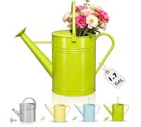 Galvanized Watering Can for Outdoor Indoor Plants, 1.7 Gallon Green Decorative Countryside Style Water Can with Removable Spout, Metal Watering Can for Indoor Plants and Garden Flower