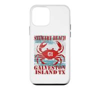 GALVESTON ISLAND TEXAS STEWAR BEACH WEATHERED NAUTICAL CRAB Case for iPhone 12 mini