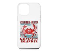 GALVESTON ISLAND TEXAS STEWAR BEACH WEATHERED NAUTICAL CRAB Case for iPhone 12 Pro Max