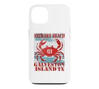 GALVESTON ISLAND TEXAS STEWAR BEACH WEATHERED NAUTICAL CRAB Case for iPhone 13