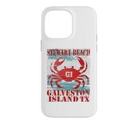 GALVESTON ISLAND TEXAS STEWAR BEACH WEATHERED NAUTICAL CRAB Case for iPhone 14 Pro Max