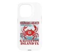GALVESTON ISLAND TEXAS STEWAR BEACH WEATHERED NAUTICAL CRAB Case for iPhone 15 Pro
