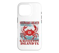 GALVESTON ISLAND TEXAS STEWAR BEACH WEATHERED NAUTICAL CRAB Case for iPhone 16 Pro