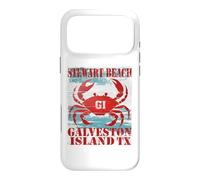 GALVESTON ISLAND TEXAS STEWAR BEACH WEATHERED NAUTICAL CRAB Case for iPhone 17 Pro Max