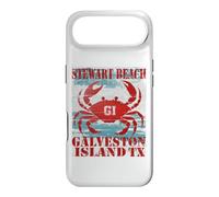 GALVESTON ISLAND TEXAS STEWAR BEACH WEATHERED NAUTICAL CRAB Case for iPhone Air