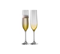 Galway Crystal Erne' Amber Flute Set Of 2 In Clear Clear One Size