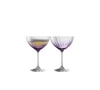 Galway Crystal Erne' Amethyst Cocktail/champagne Set Of 2 In Clear Clear One Size
