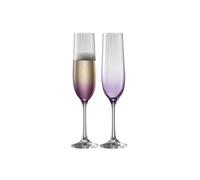 Galway Crystal Erne' Amethyst Flute Set Of 2 In Clear Clear One Size
