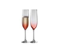 Erne' Blush Flute Set of 2 Galway Crystal Clear One Size