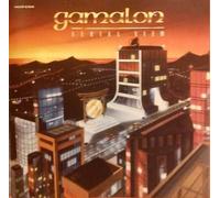 Gamalon - Aerial View