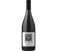 Gamay - En Coteaux 2023 - Jeff Carrel