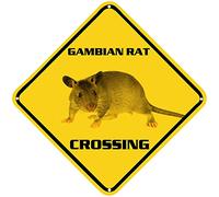 Gambian Rat Crossing Sign Warning Sign Gambian Rat Animal Caution Yellow Wall Art Decorative Decor For Fence Home Farmhouse Yard Road Quality Metal Sign 12x12 Inches
