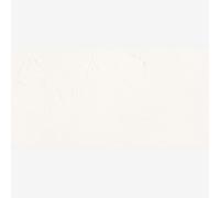 Gamblin : 1980 Oil Paint : 150ml : Transparent White