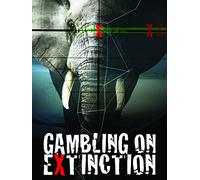 Gambling on Extinction