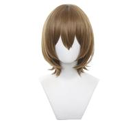 Game Cosplay Wig Silver Grey Hair Wig Short Fluffy Wig Straight Wig with Bang Halloween Party Wig