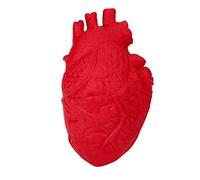 Game for Teens Organ Toy Silicone Toy Stress Stress Heart Scary Reliever Novelty Education Bathtub Letters for Toddlers (Red, One Size)