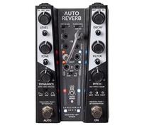 Gamechanger Audio Auto Reverb