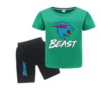 Gamer Lighting Cat YouTube Gamer Logo Merch T-Shirts and Shorts 2 Piece Sets Youtuber Round Neck Short Sleeve Tee Top and Shorts (Green,7-8Years