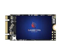 GAMERKING M.2 2242 256GB 3D NAND TLC SATA III 6GB/s Solid State Drive Internal Solid State Drive - Compatible with Desktop and Laptop (2242 256GB)