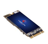 Gamerking NO NO SSD M.2 2242 60GB NGFF Internal Solid State Drive High Performance Hard Drive for Desktop Laptop SATA III 6Gb/s M2 SSD (60GB, M.2 2242)