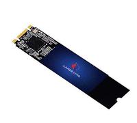 Gamerking SSD M.2 2280 256GB NGFF Internal Solid State Drive High Performance Hard Drive for Desktop Laptop SATA III 6Gb/s M2 SSD (256GB, M.2 2280)