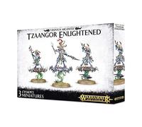 Games Workshop Tzeentch Arcanities Tzaangor Enlightened