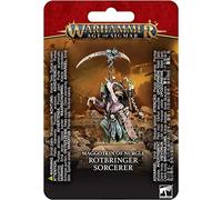 Games Workshop Warhammer Age of Sigmar Maggotkin of Nurgle: Rotbringer Sorcerer