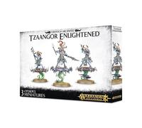 Games Workshop Tzeentch Arcanities Tzaangor Enlightened