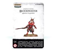 Warhammer Age of Sigmar - Blades of Khorne: Bloodmaster, Herald of Khorne