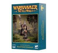 Beastmen Brayherds: Beastman Shaman