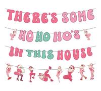 Gameza Friendsmas Christmas Party Decorations - 4PCS There's Some Ho Ho Hos in This House Christmas Banner Pink Naughty Christmas Decorations Party Holiday Santa Claus Xmas Party Decor Supplies No DIY