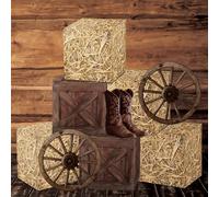 Gameza Western Hay Bales Boxes Decor, Western Cowboy Party Decorations Farm Trunk or Treat Car Hay Bales Wagon Wheel Decorations Kit, Farm My First Rodeo Party Decor