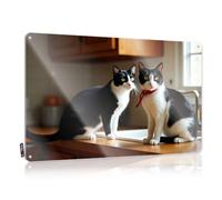 Gaming Metal Tin Decor Two Black-And-White Cats Sitting On A Kitchen Counter Tin Sign Funny Poster Sign Bar Signs Vintage(20X30CM)