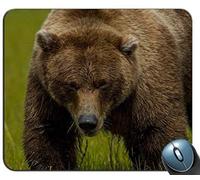 Gaming Mouse Mat,Brown Bear Bear Grass Thick 98977 Personalized Rectangle Mouse Pad, Printed Non-Slip Rubber Comfortable Customized Computer Mouse Pad