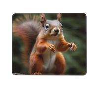 Gaming Mouse-Pad 7 x 8.6 in, Funny Animal Squirrel Print Mousepad Waterproof Non-Slip Leather Mouse-Pads for Office Desktop Laptop and Pc