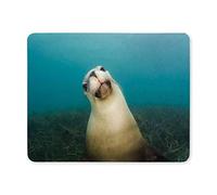 Gaming mouse pad,Mouse Pad Sea Lion Portrait Rectangle Non-Slip Rubber Mouse pad