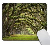 Gaming Mouse Pad,Oaks Avenue Charleston SC Plantation Live Oak Trees Landscape Mousepad Non-Slip Rubber Rectangle Mouse Pads for Computers Laptop