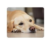 Gaming Mouse Pad Yellow Labrador Retriever is Waiting at Home Non-Slip Rubber Mouse Pad for Computers, Laptop, Office, Home Rectangle Personalized Mousepad 9.5 Inch x 7.9 Inch