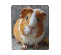 Gaming Mousepad for computer 24x20 cm Non-Slip Rubber Base Cute Mouse Mat for Laptop & Desktop Home Office Desk Accessories Office Supplies Cute guinea pig