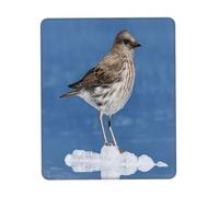 Gaming Mousepad for computer 30x25 cm Non-Slip Rubber Base Cute Mouse Mat for Laptop & Desktop Home Office Desk Accessories Office Supplies Cute Penguin Print